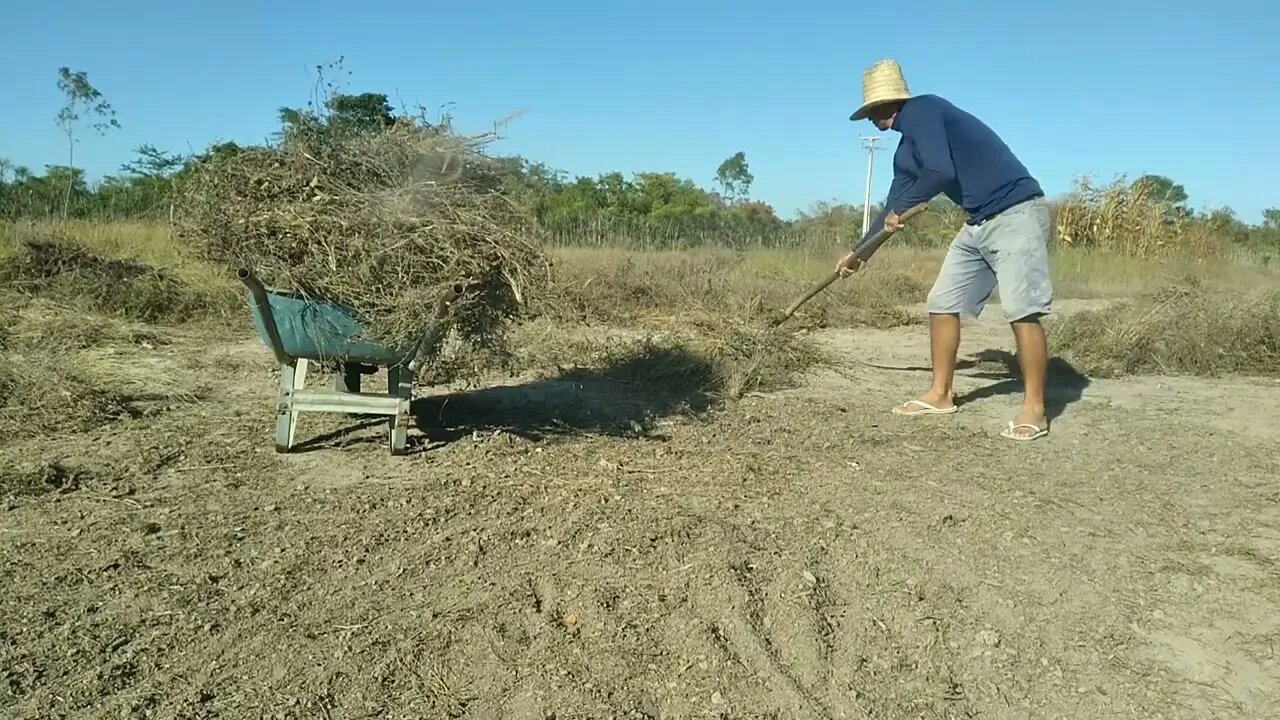 Fazendo Limpeza pesada hoje na fazenda e muito mais