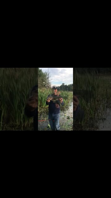 In the mud, my happy place