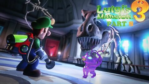 Chasing The Cat and Floor 9 {Luigi's Manshion 3} Part 8