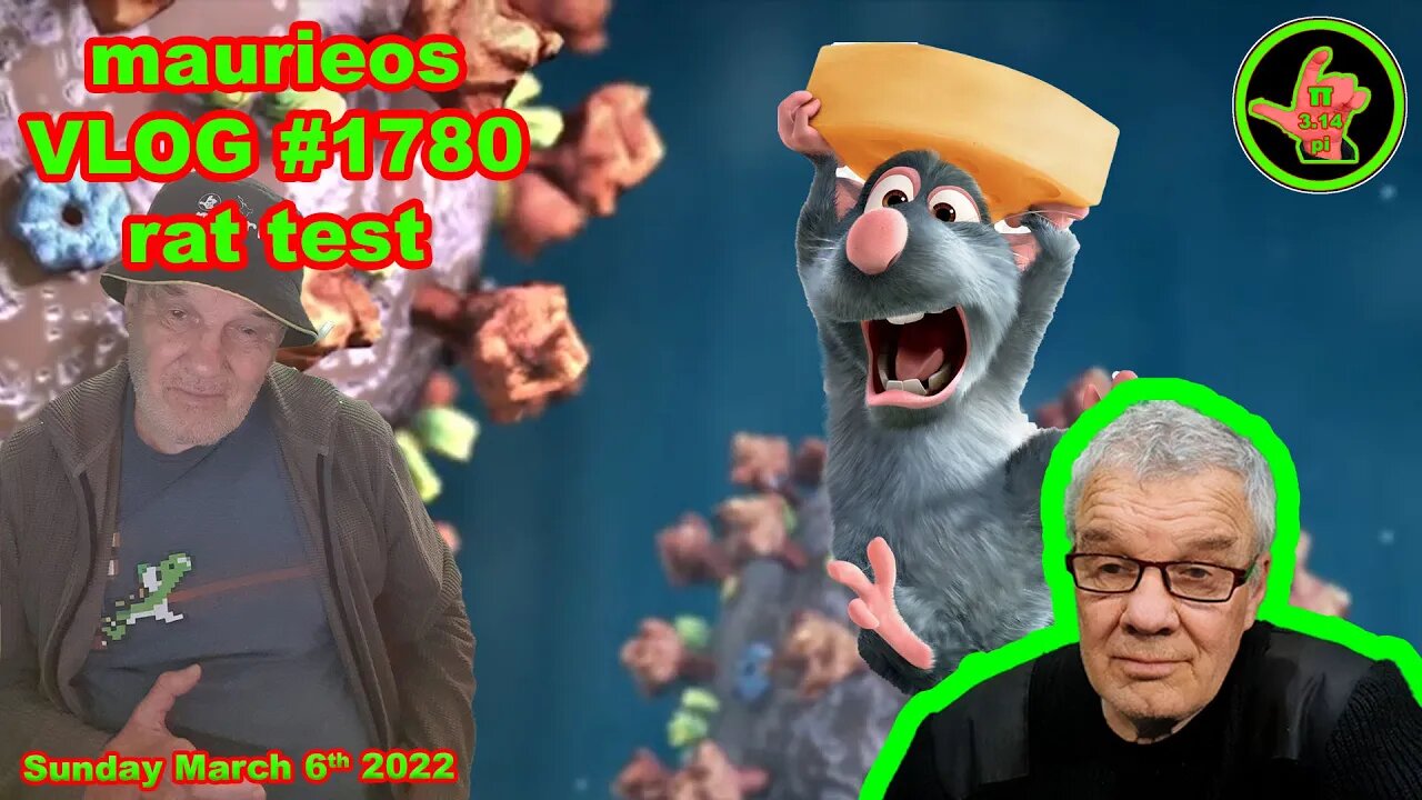 maurieos VLOG #1780 rat test