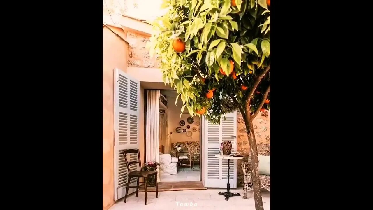 تلاوة نادرة .