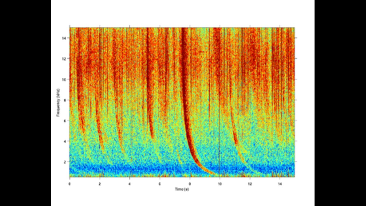 Frequencies, Your Health and the Afterlife