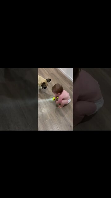 This is quite possibly the cutest friendship