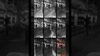 Jocko Willink-says no easy paths! #zoobox #nonsense #jockowillink