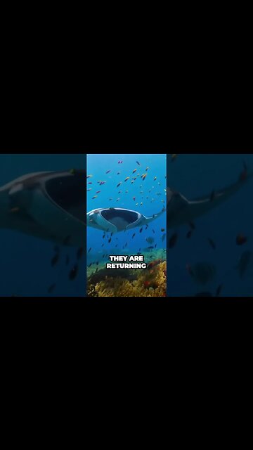 Giant spend‼️ Part 3‼️ #funny #foryou #quotes #mrbeast #viral #like #follow #comedy #fun #fyp #you