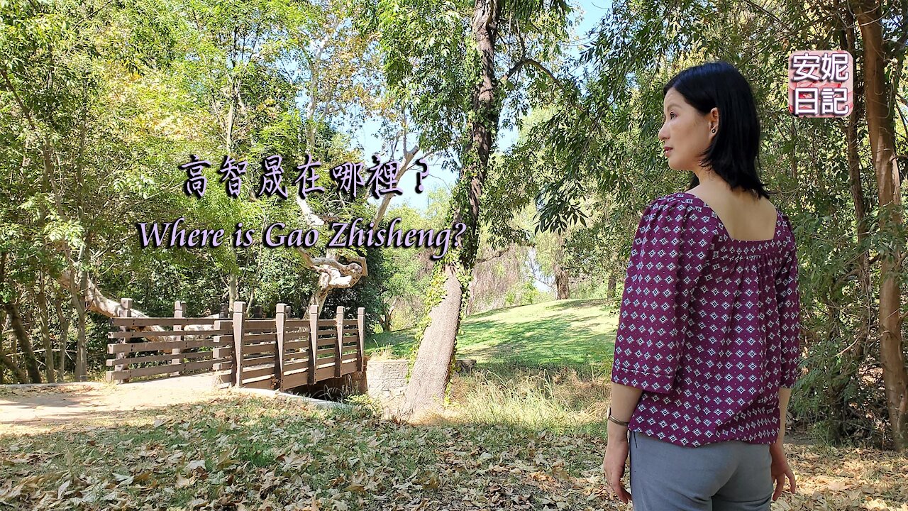 【安妮日記】高智晟在哪裡?Where is Gao Zhisheng?