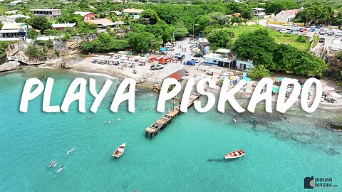 Snorkel with turtles at Playa Piskado on the northwest side of Curacao (Also known as Playa Grandi)