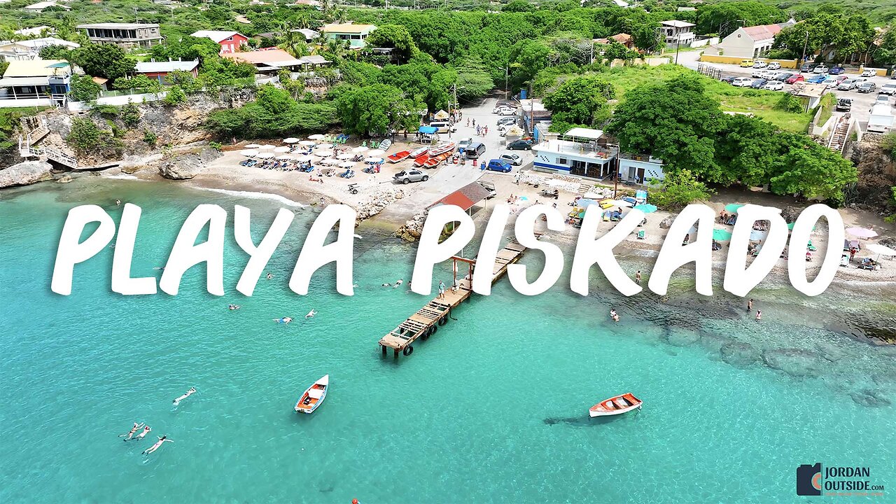 Snorkel with turtles at Playa Piskado on the northwest side of Curacao (Also known as Playa Grandi)
