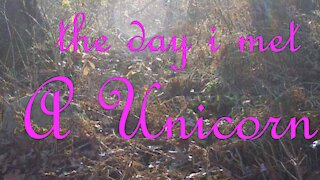 It's a "unicorn," that's my story, and I'm sticking to it.