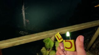 Lost in Spooky Woods: Lempo DEMO (Part 1)