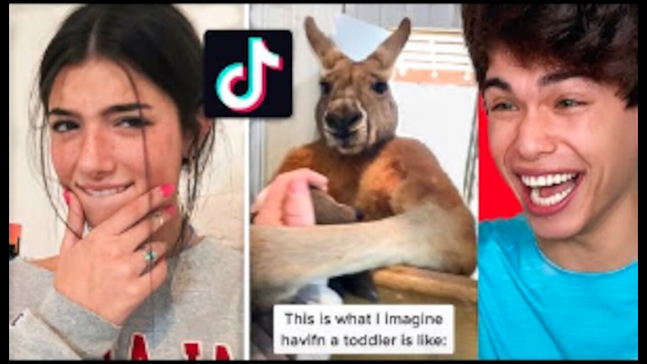 TIK TOKS that are actually FUNNY