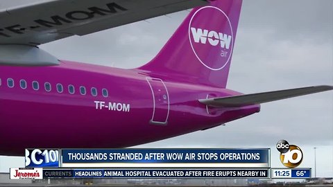 Thousands stranded after Wow Air shuts down