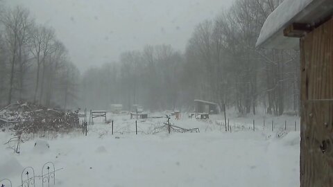Winter Storm Stella Blizzard 2017 Reports From The Homestead
