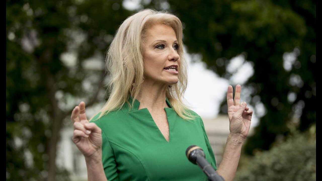 Kellyanne Conway Needs Only Two Words to Explain Why More Women Didn't Turn Out for Kamala Harris