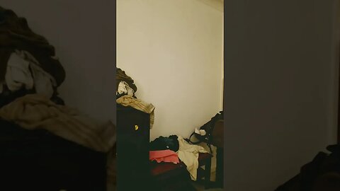 #veiws_viral_video_subscribers_grow #clip made it to another month 😉