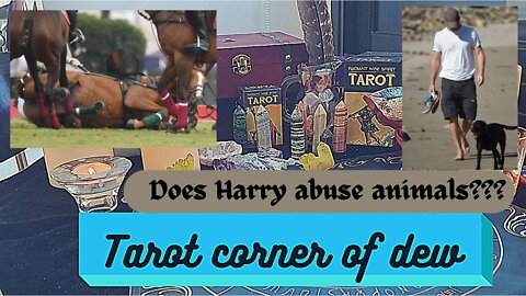 Does harry abuse animals???