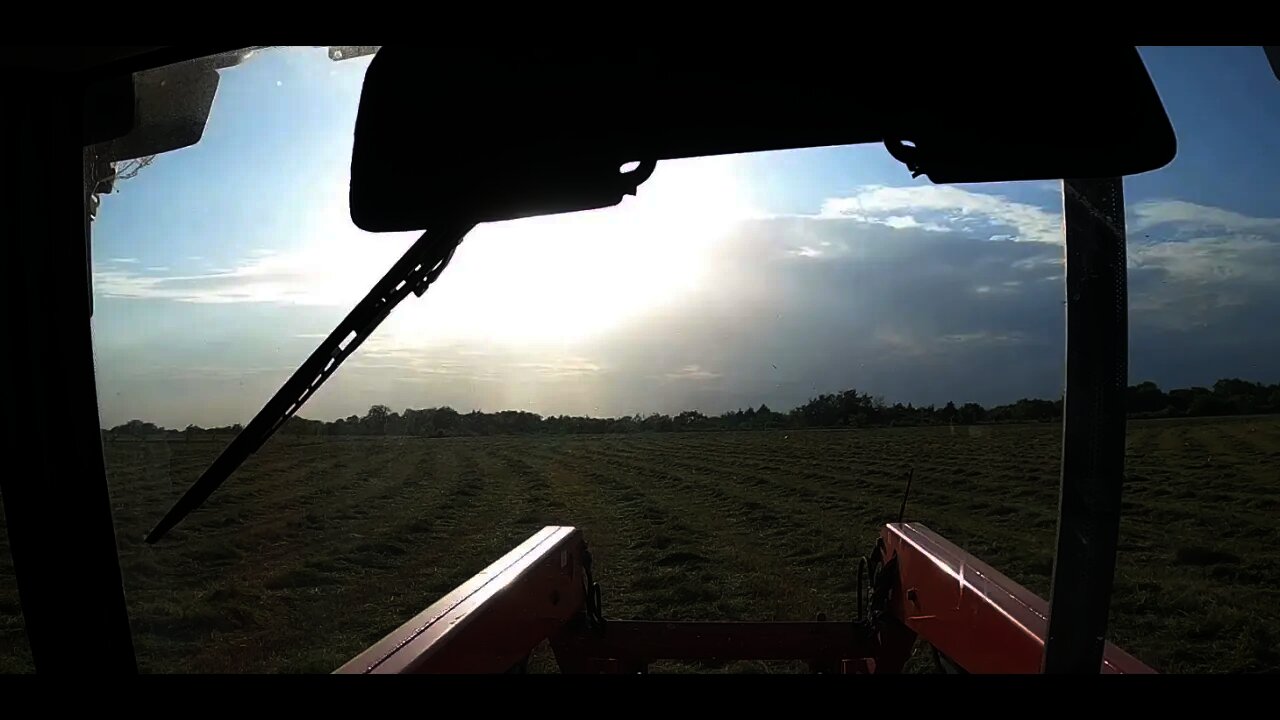 The HEAT is on! Watering Leyland Cypress Trees and more Hay Mowing.