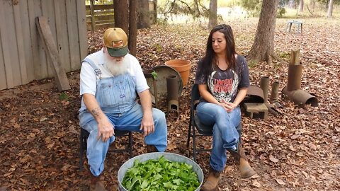 Turnip Greens, one planting, two harvests, bag and freeze