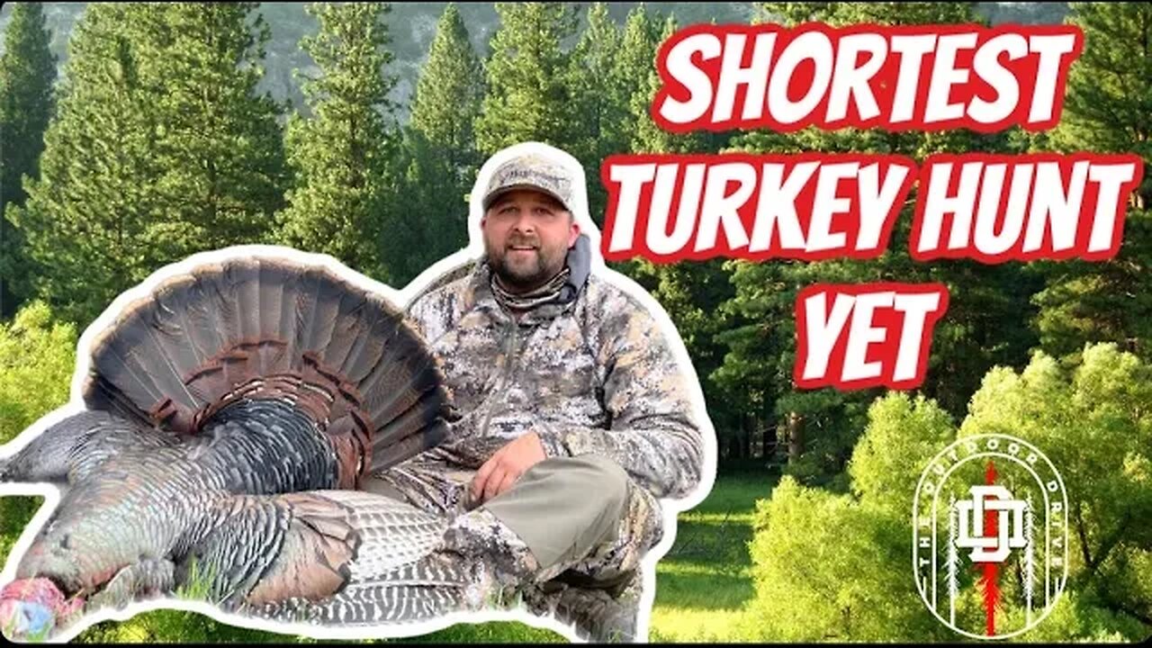 Shortest Turkey Hunt Yet - CT Public Land Long Beard