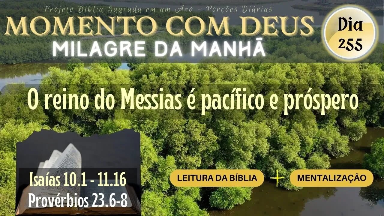 MOMENTO COM DEUS - MILAGRE DA MANHÃ - Dia 255/365 #biblia