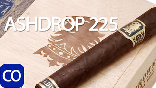 CigarAndPipes CO Ashdrop 225