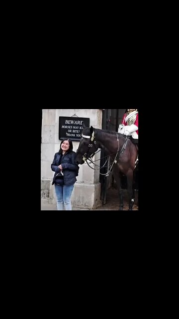 horse makes her laugh #horseguardsparade