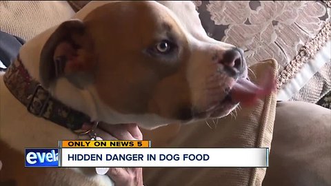 Hidden danger in dog diets