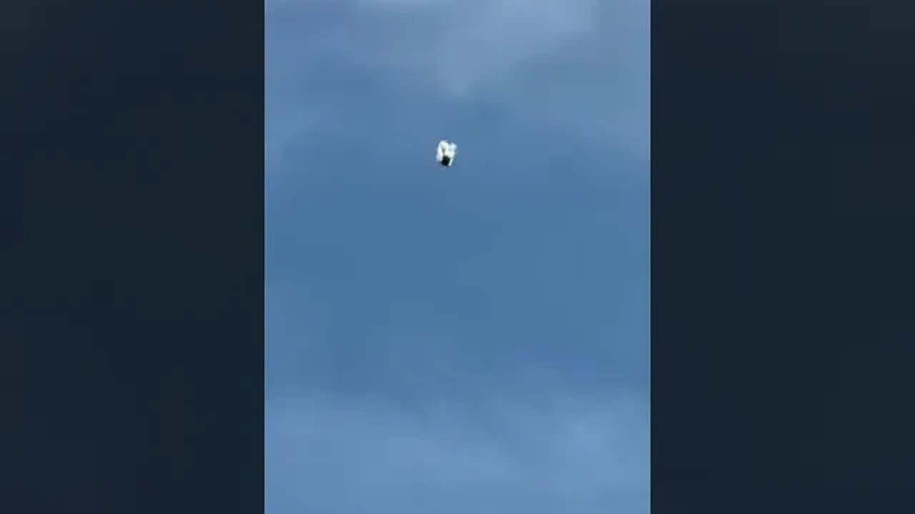 Stylish pigeon Spinning to land