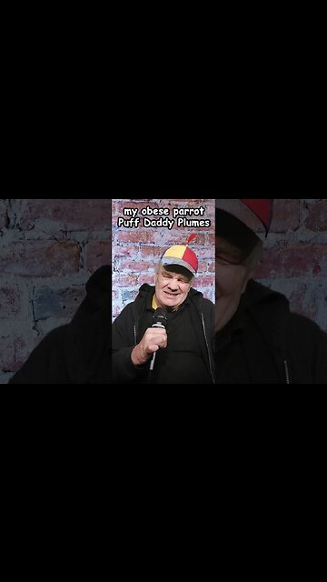 #maurieo MY OBESE PARROT PUFF DADDY PLUMES