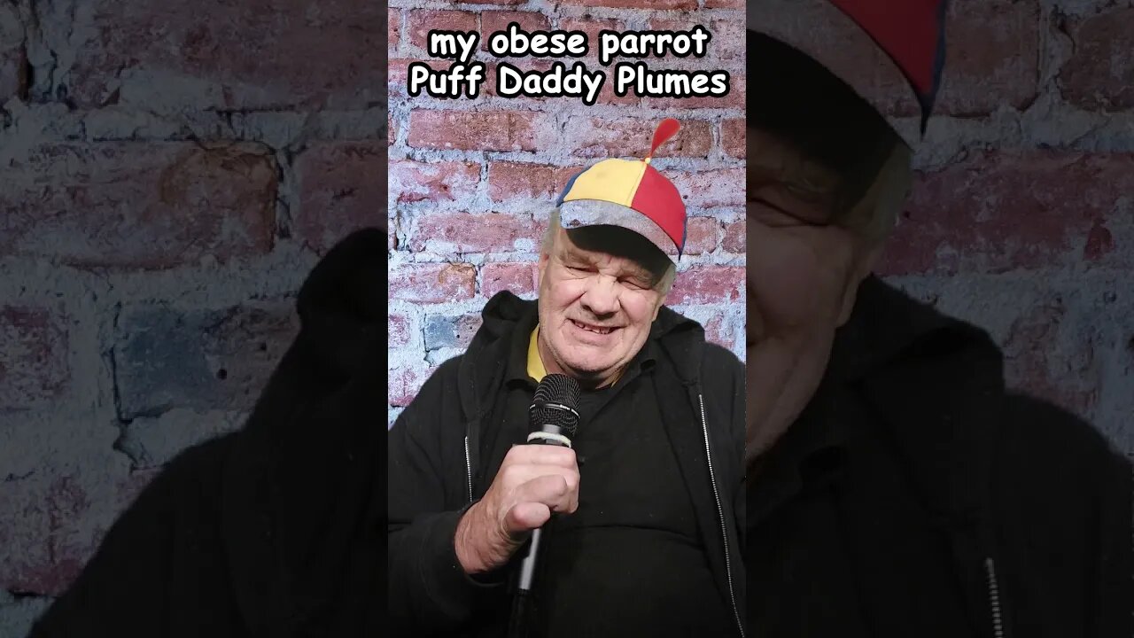 #maurieo MY OBESE PARROT PUFF DADDY PLUMES