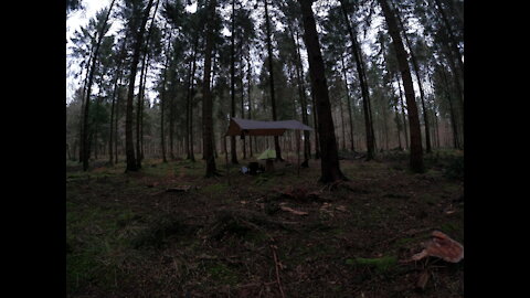 light is diminishing. mini vlog before chilling under the tarp in the woods
