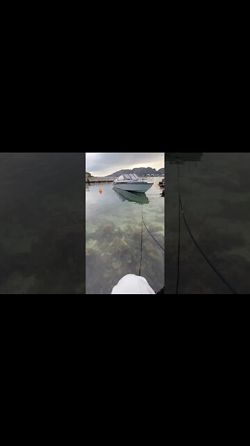 Płyniemy gdzieś? Norwegia 🙂