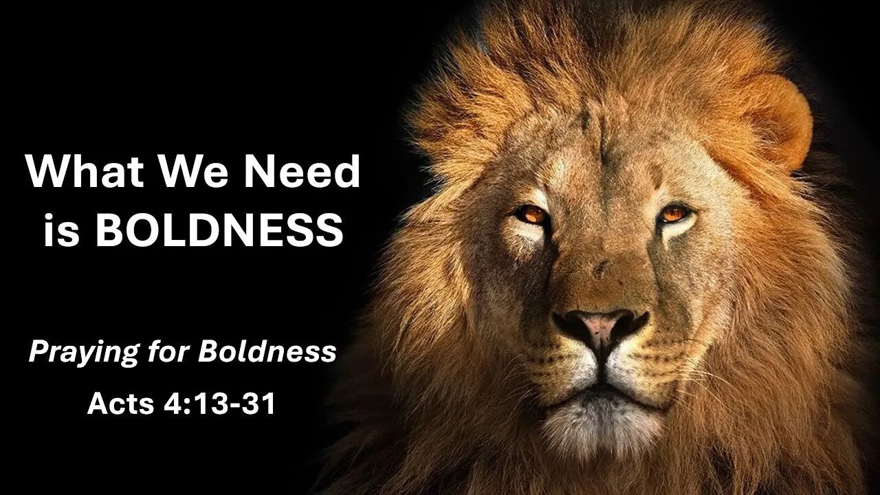 What We Need is Boldness