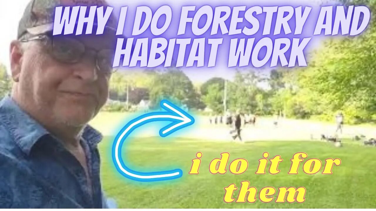 What is Your Why? (why I do forestry and habitat work)