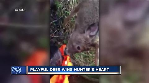 Janesville hunter's encounter with friendly buck goes viral