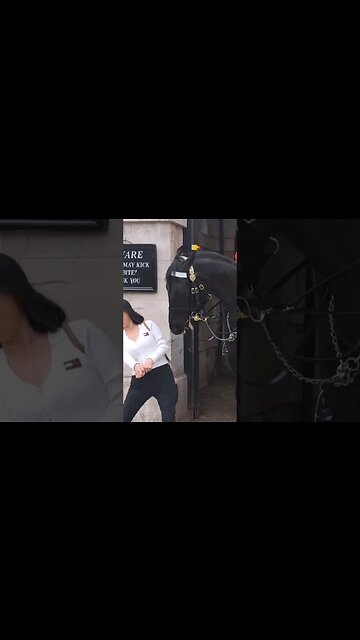 She doges the teeth #horseguardsparade