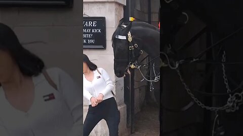 She doges the teeth #horseguardsparade