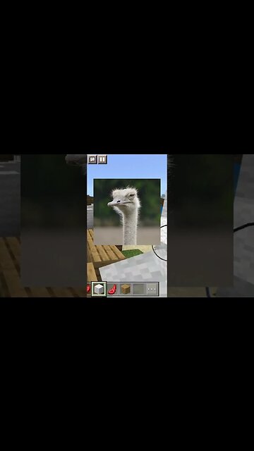 An Ostrich Eating your Sink