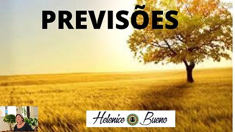 21/08/2023 HELENYCE BUENO