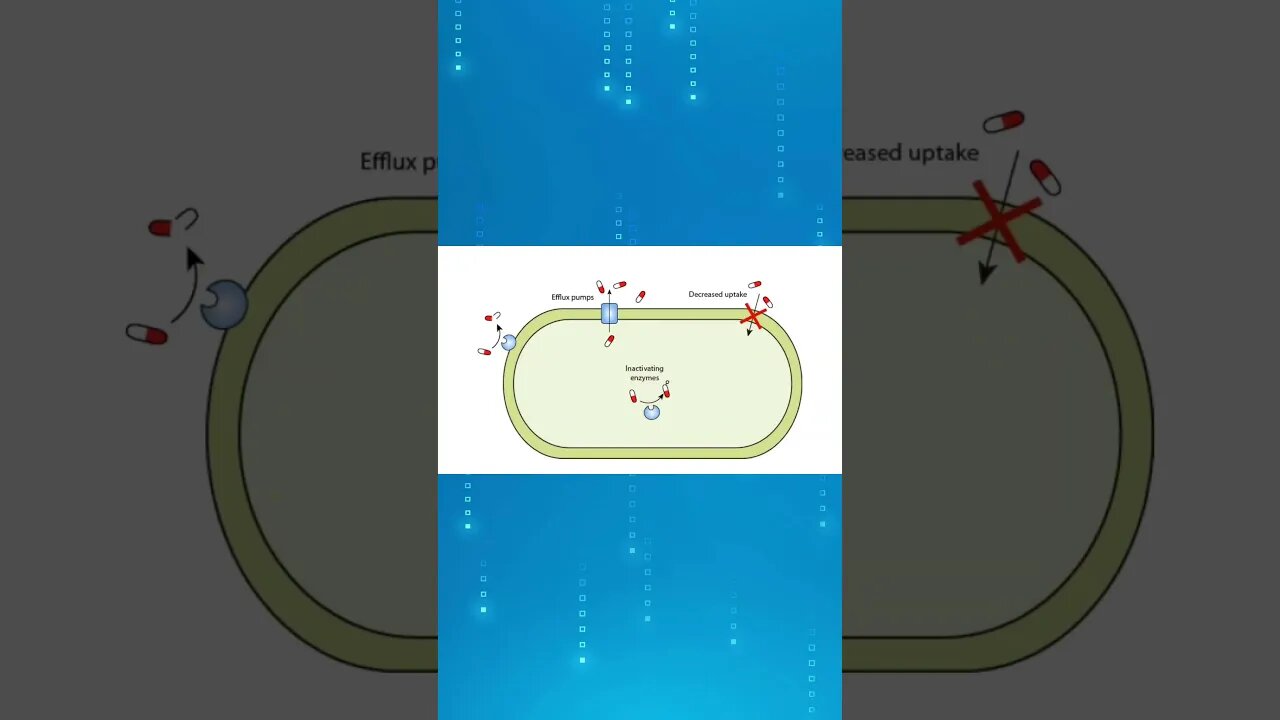 ANTIBIOTIC RESISTANT BACTERIA CLIP!