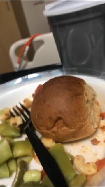 Bug crawling on hospital food