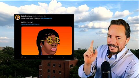 DYOR Media - Rugged Ruined REKT Season 1 Episode 6 - Crypto Rugpulls, Scams, Honeypots, Liquidity Theft and MORE! 