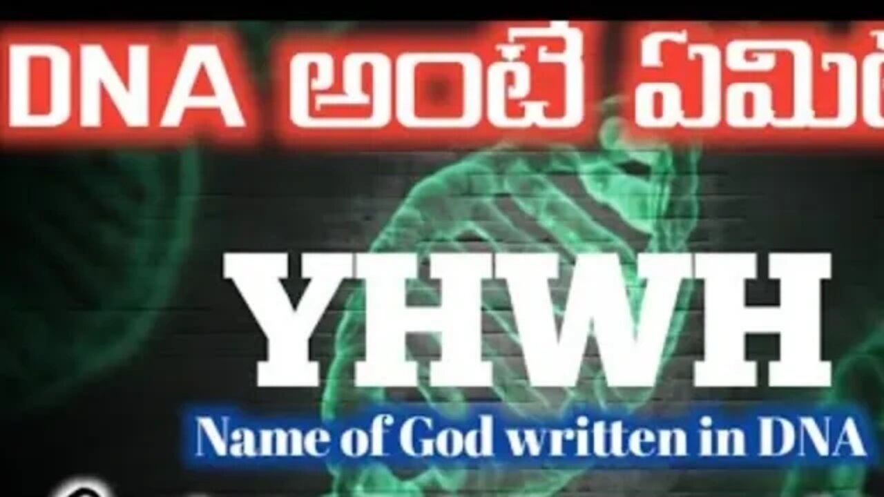 The Book of Life-Kingdom Family!