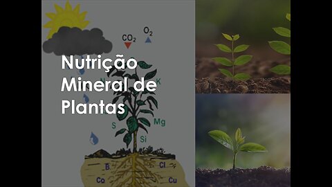 Nutrição mineral de plantas parte 1