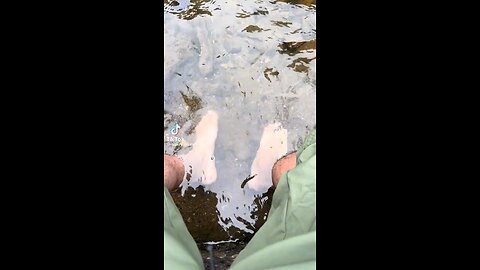 Grounding & Earthing