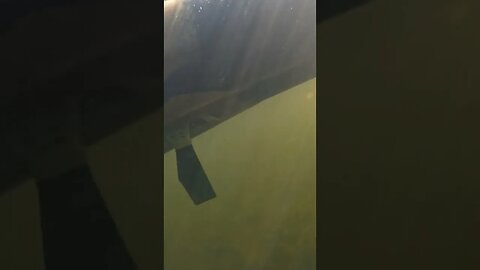 can your kayak do this?
