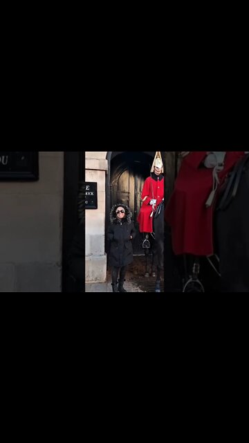 A Quiet get back by the kings guard #horseguardsparade