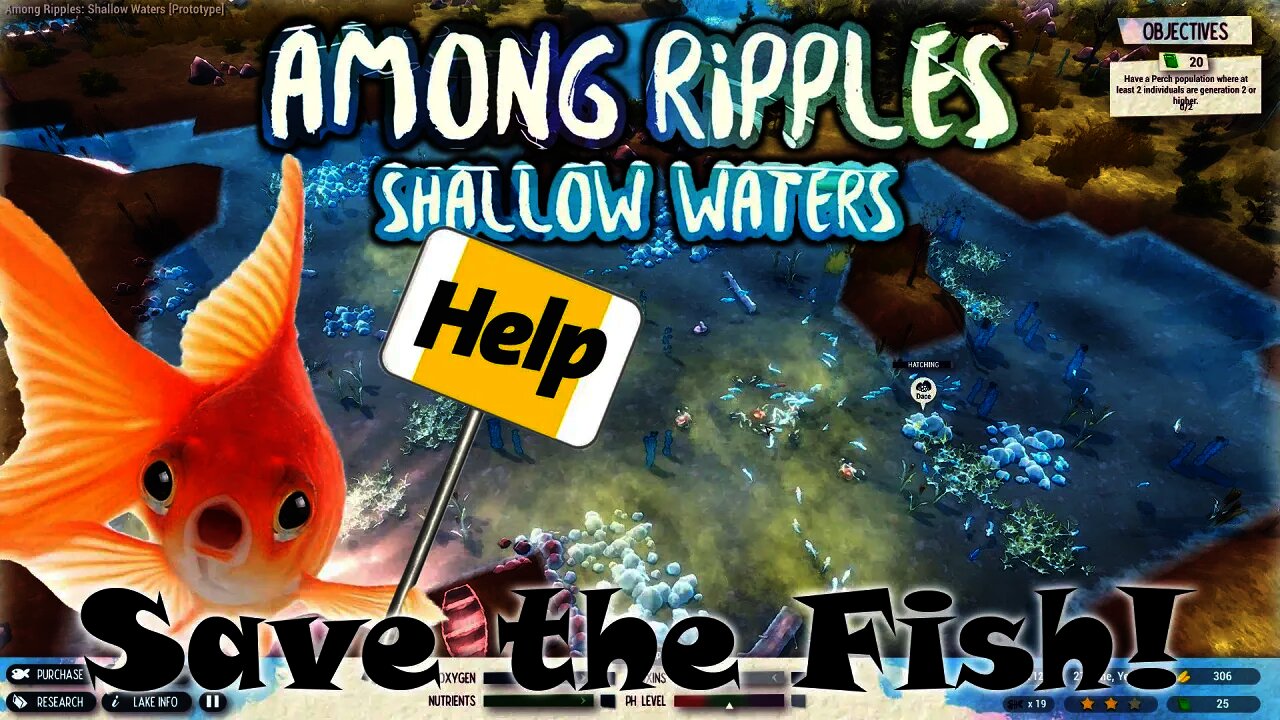 Among Ripples: Shallow Waters - Save the Fish