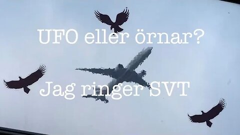 UFO eller örnar över Sankt Petersburg?