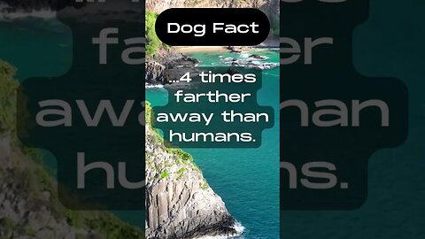 Dogs can hear sounds... #shorts
